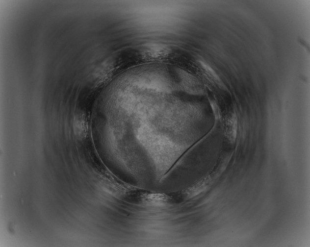 X0000097880324200803281229