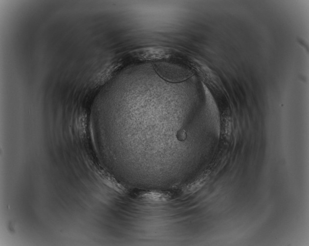 X0000097880326200803281229