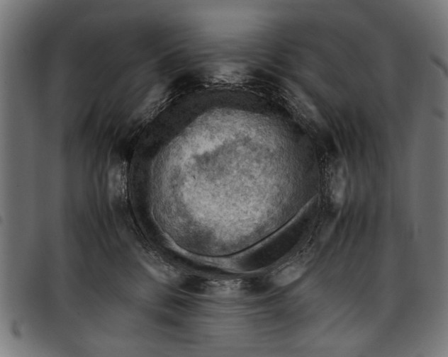 X0000097880328200803281229