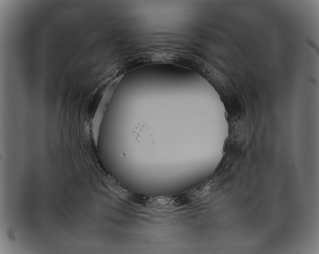 X0000097880329200803281229