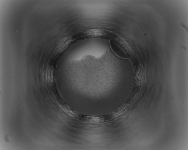 X0000097880330200803281229