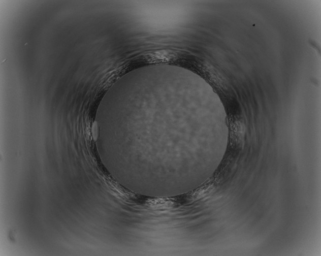 X0000097880331200803281229