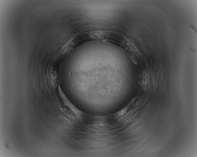 X0000097880332200803281229