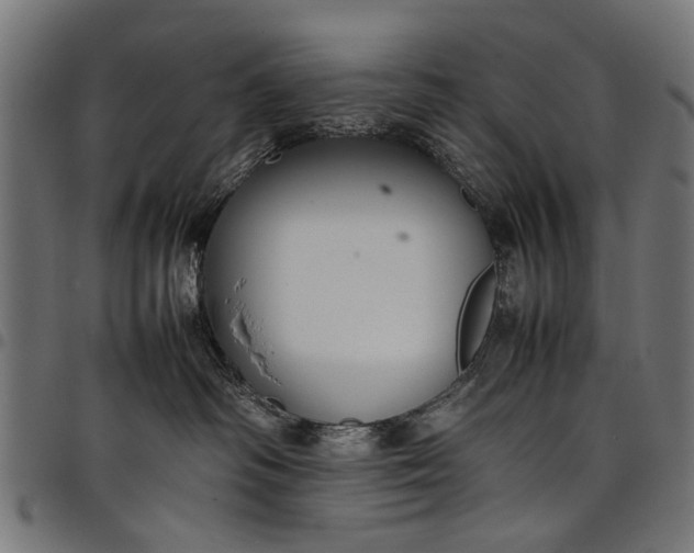 X0000097880334200803281229