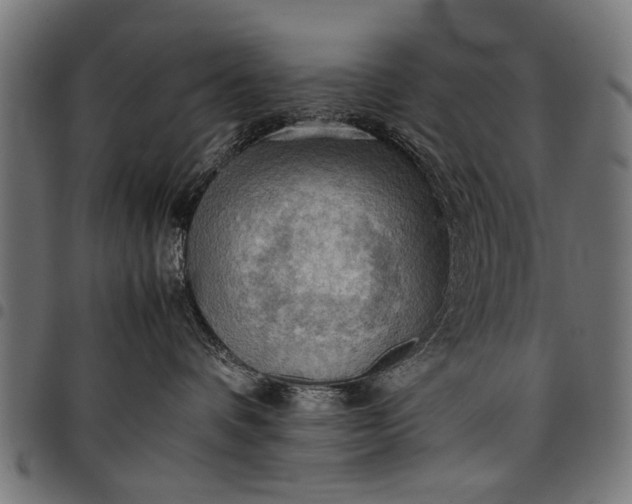 X0000097880336200803281229