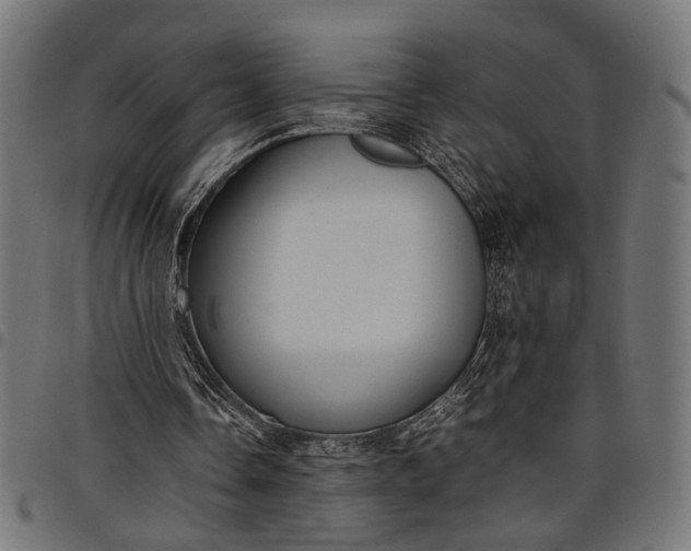 X0000097880338200803281228