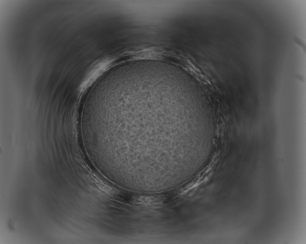 X0000097880341200803281228