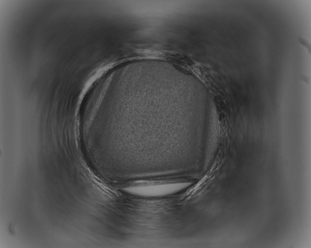 X0000097880342200803281228