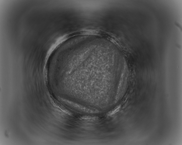 X0000097880343200803281228