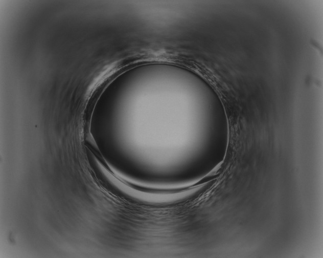 X0000097880344200803281228