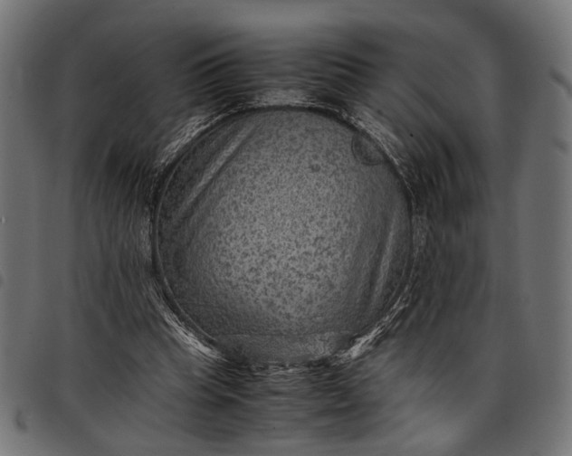 X0000097880345200803281228