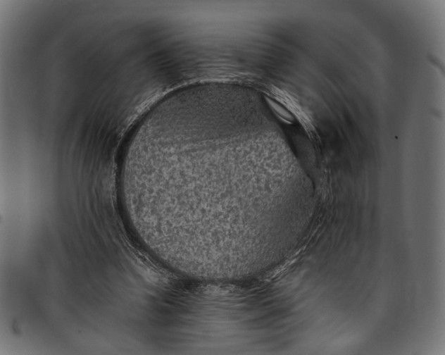 X0000097880346200803281228