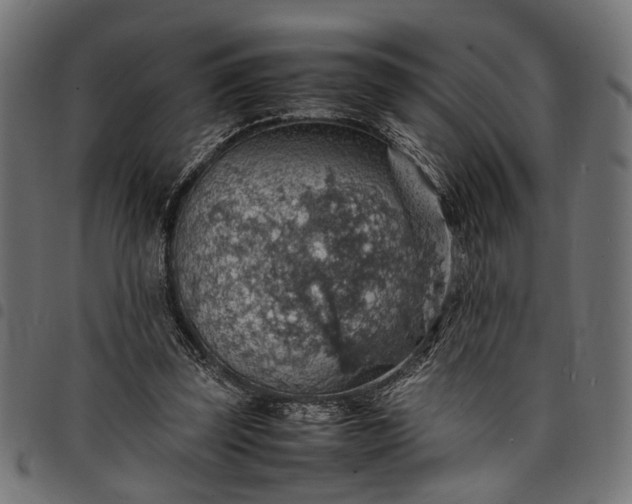 X0000097880347200803281228