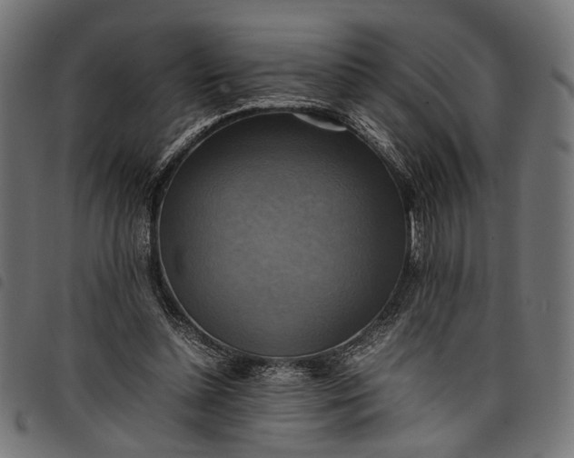 X0000097880348200803281228