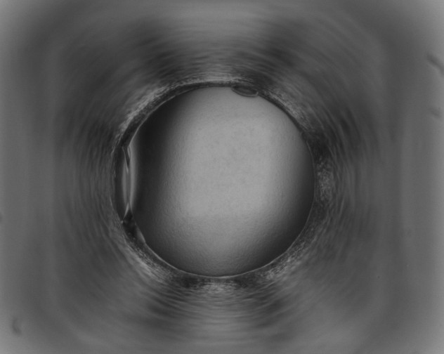 X0000097880350200803281228