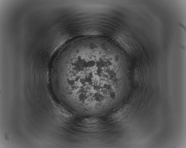 X0000097880351200803281228