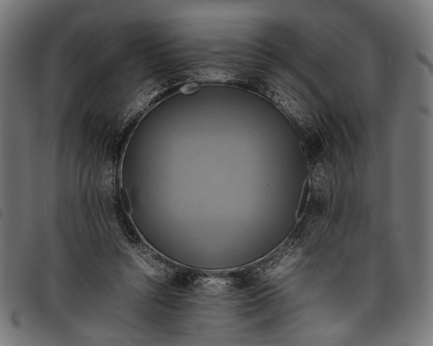 X0000097880352200803281228