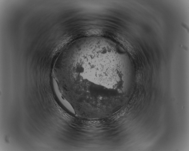 X0000097880353200803281228