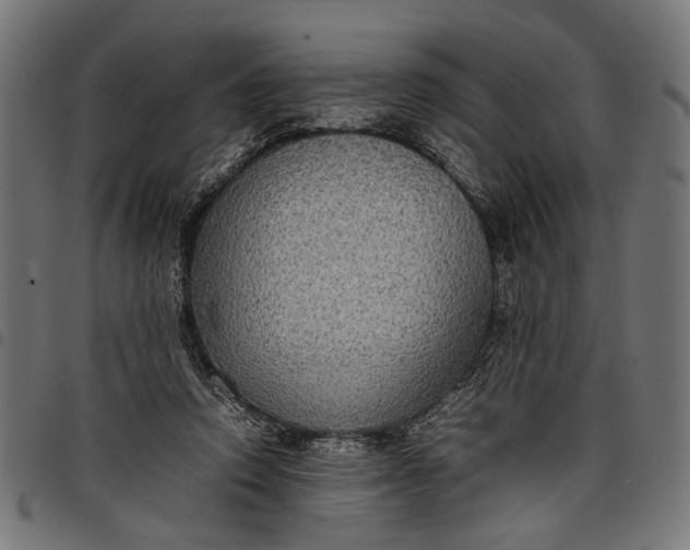 X0000097880354200803281228