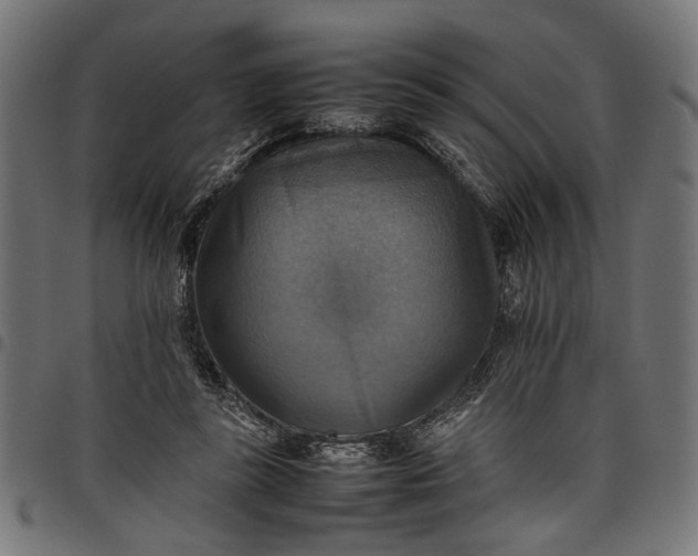 X0000097880355200803281228