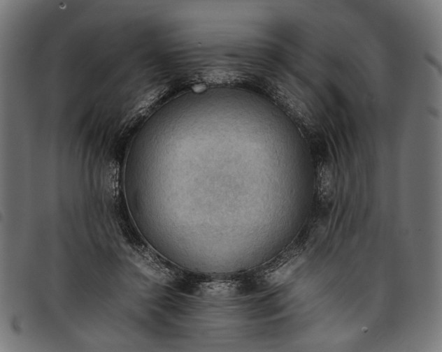 X0000097880356200803281228