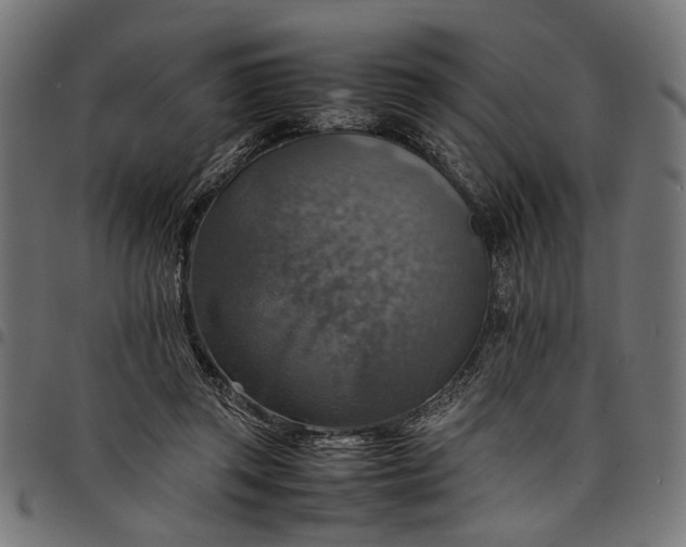 X0000097880357200803281228