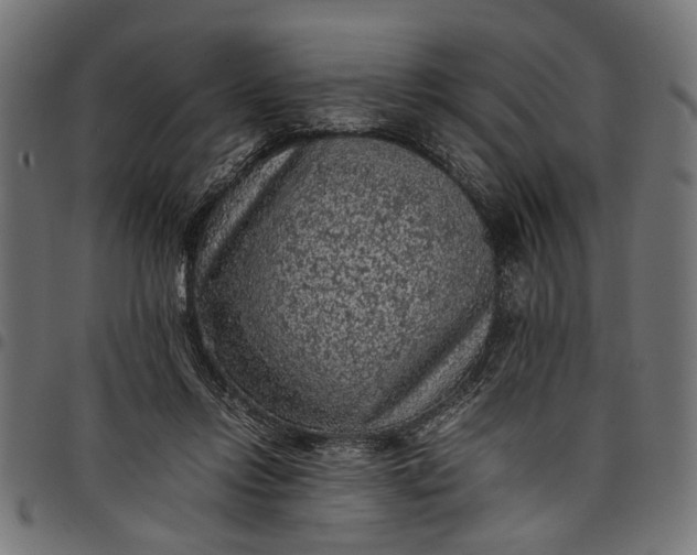 X0000097880358200803281228