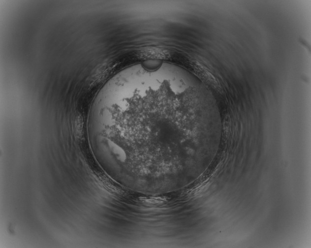 X0000097880359200803281229