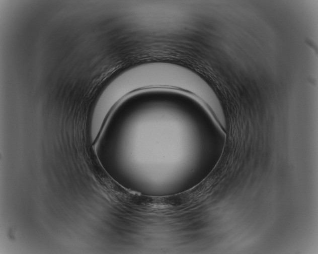 X0000097880360200803281229