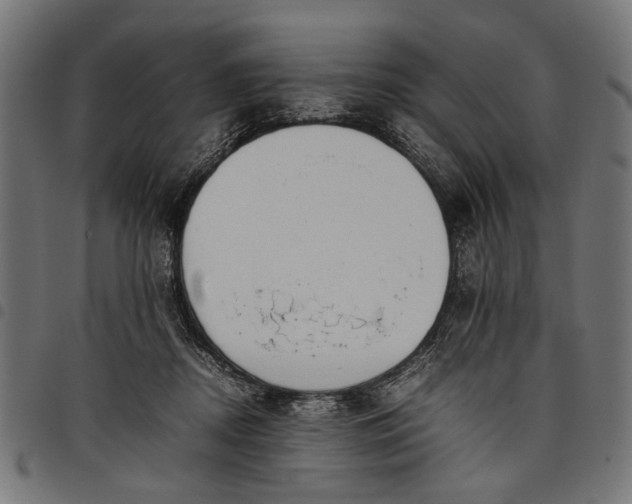 X0000097880362200803281229