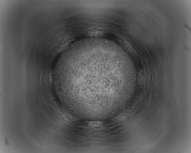 X0000097880363200803281229