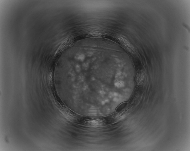 X0000097880365200803281229