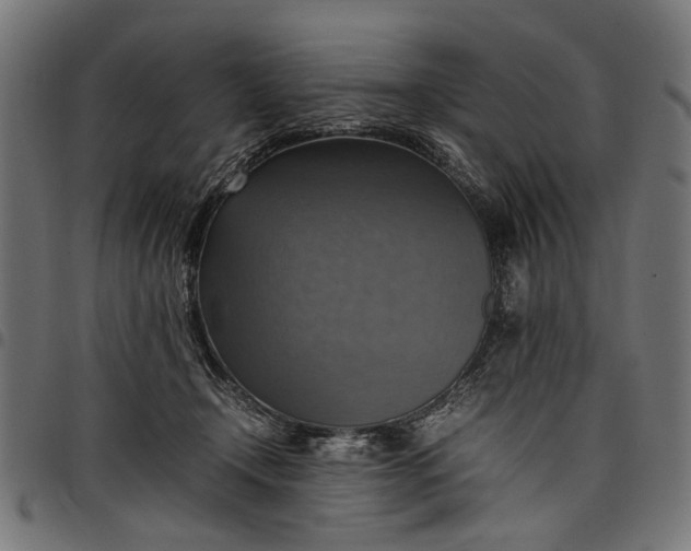 X0000097880366200803281229