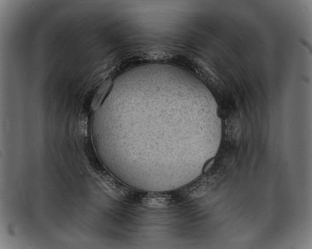 X0000097880368200803281229