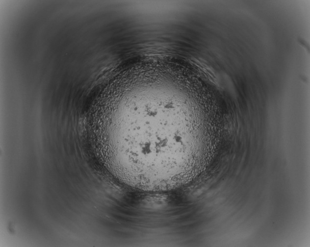 X0000097880369200803281229