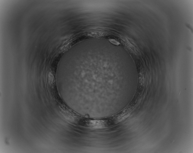 X0000097880371200803281229