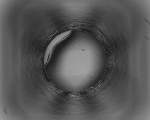 X0000097880372200803281229