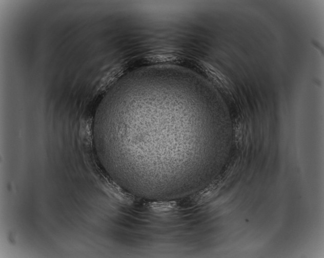 X0000097880373200803281229