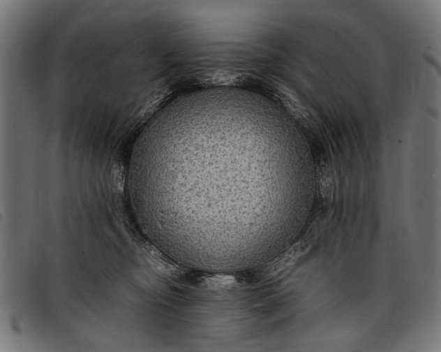 X0000097880374200803281229