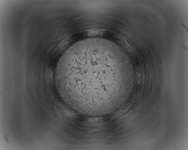 X0000097880375200803281229