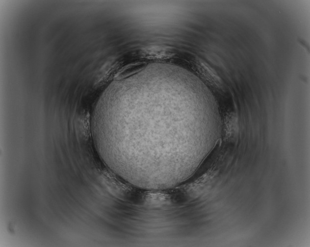 X0000097880376200803281229