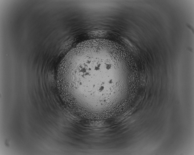 X0000097880377200803281229