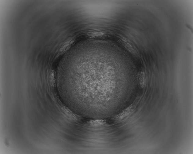 X0000097880378200803281229