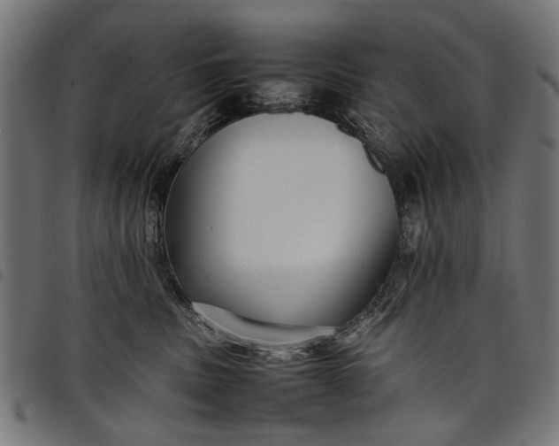 X0000097880379200803281229