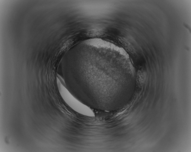 X0000097880380200803281229