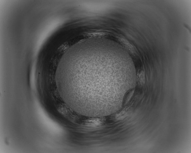 X0000097880381200803281229