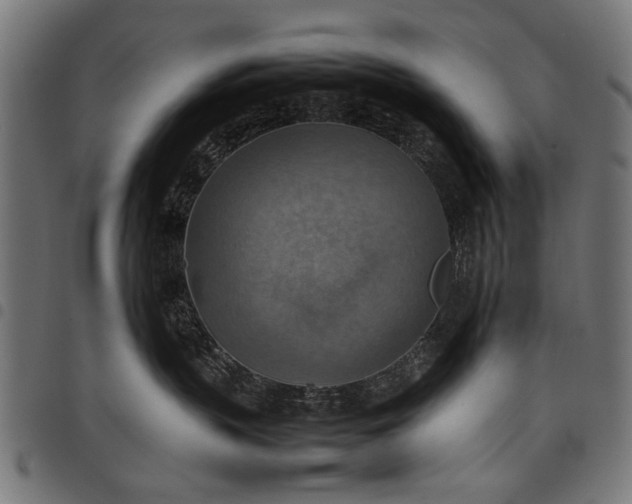 X0000097880383200803281229