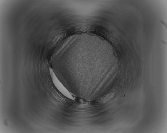 X0000097880384200803281229