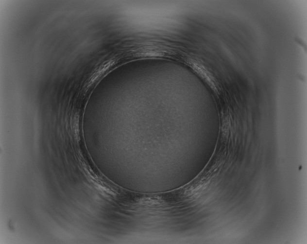 X0000097880386200803281228