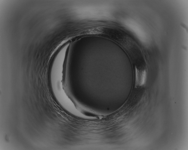 X0000097880387200803281228